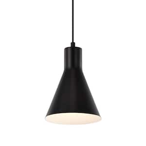 Black in Pendant Lights