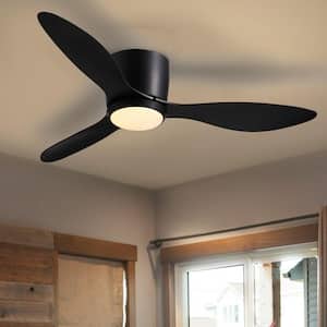 Black in Ceiling Fans With Lights