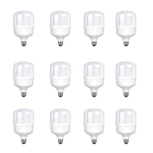 Number of Bulbs Included: 12