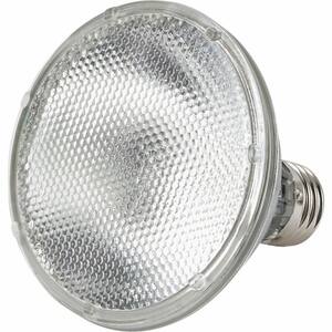 Light Bulb Shape Code: PAR30S