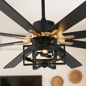 Black in Ceiling Fans With Lights