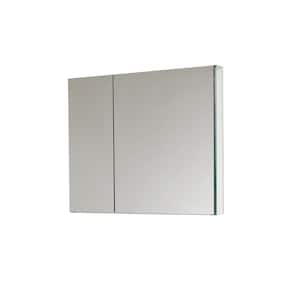 Medicine Cabinets with Mirrors