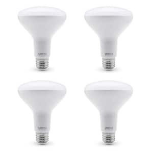 4000 - LED Light Bulbs - Light Bulbs - The Home Depot