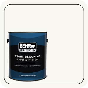 Exterior Paint