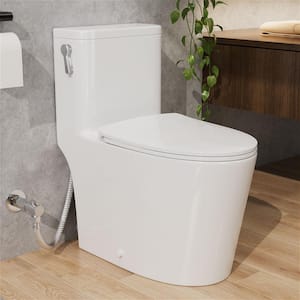 Chair Height in One Piece Toilets