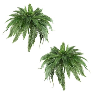 Artificial Ferns