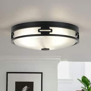 Flush Mount Ceiling Lights