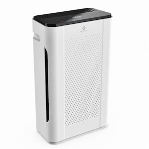 Whole House Air Purifiers