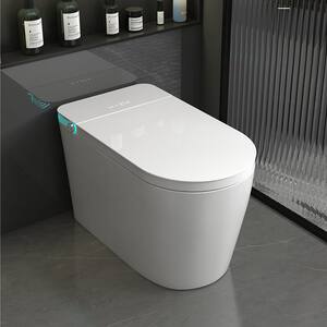 Antimicrobial in Toilets