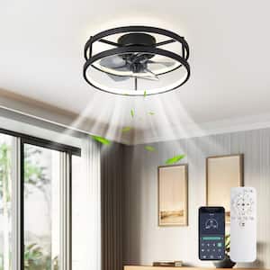 Ceiling Fans With Lights
