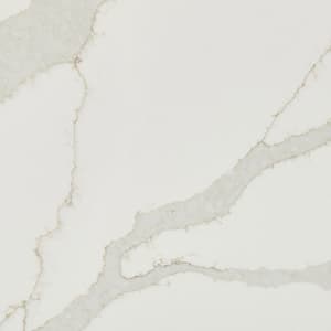 Dramatic Marble Veins