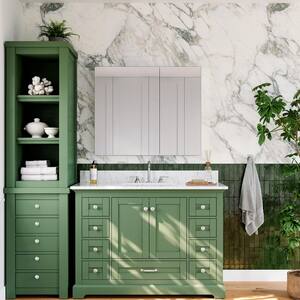 Medicine Cabinets with Mirrors