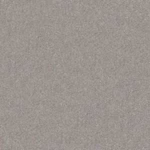 Home Decorators Collection