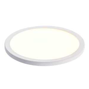Flush Mount Ceiling Lights