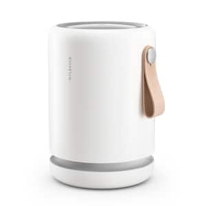 MOLEKULE