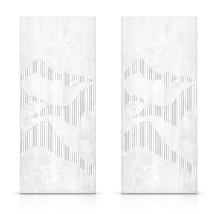 Door Size (WxH) in.: 60 x 96