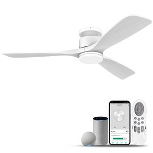 Ceiling Fans
