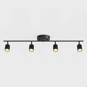 Ceiling Mounted