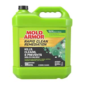 Concrete in Mold Removers