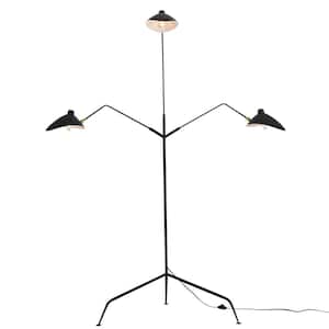 Floor Lamps