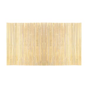 Bamboo Fence