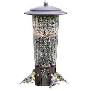 Seed Feeder in Bird Feeders