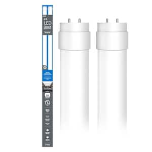 Light Bulb Shape Code: T12