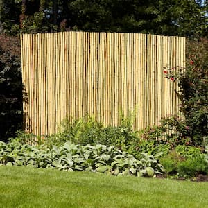 Bamboo Fence