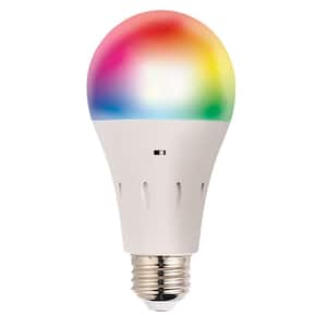 LED Light Bulbs