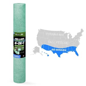 South Florida in Grass Seed