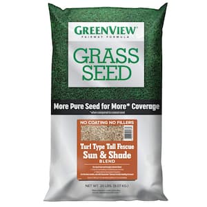Fescue in Grass Seed