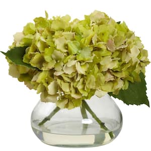 Hydrangea
