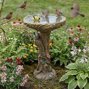 Bird Bath Stands