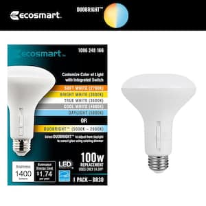 Wattage Equivalence: 100 Watt
