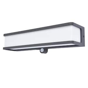 Motion Sensor