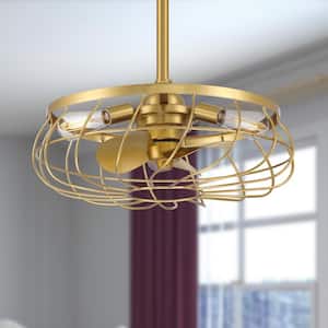 Gold in Ceiling Fans