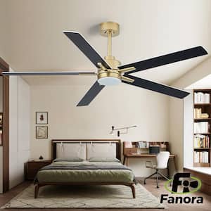 Ceiling Fans With Lights