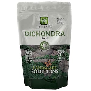 Grass Seed