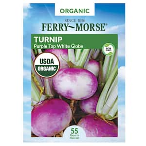Turnip