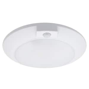 Flush Mount Lighting