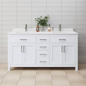Popular Vanity Widths: 66 Inch Vanities