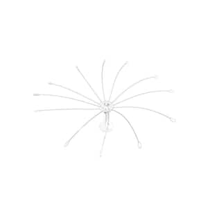 Bird Deterrent in Outdoors