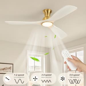 Ceiling Fans