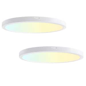 Flush Mount Ceiling Lights