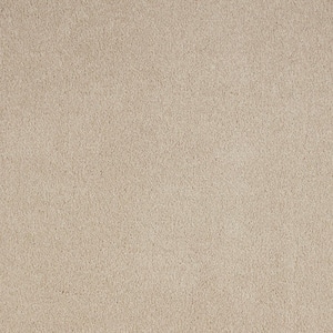 Beige in Carpet