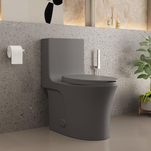 One Piece Toilets