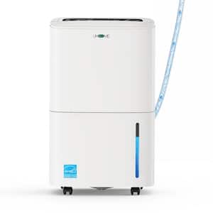Basement in Dehumidifiers