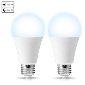 LED Light Bulbs