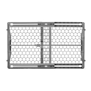 Doorway in Baby Gates