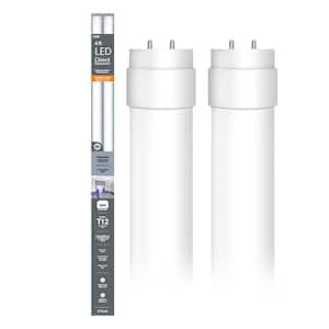 Light Bulb Shape Code: T12